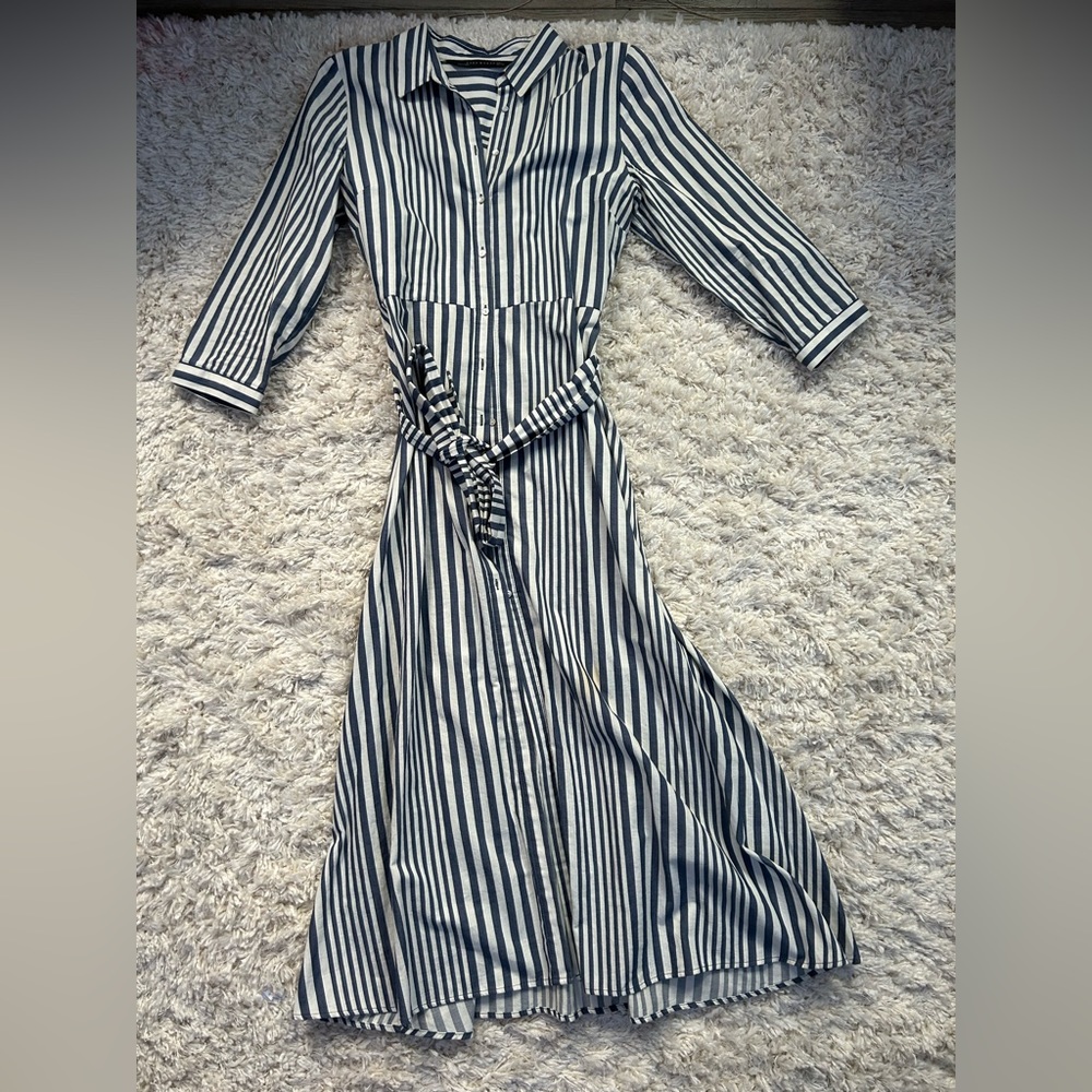 Zara Navy Striped Dress